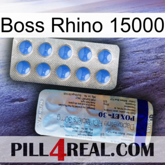 Boss Rhino 15000 39